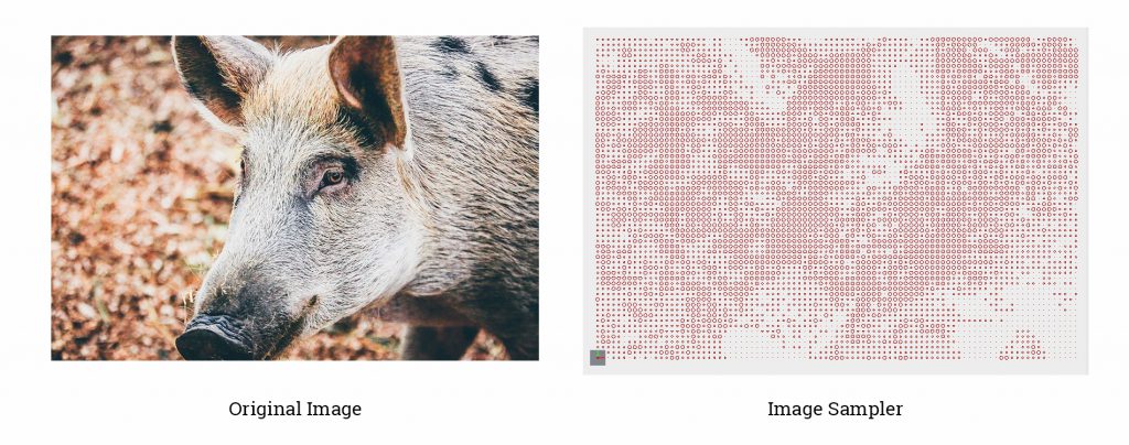 Image Sampler Example -boar