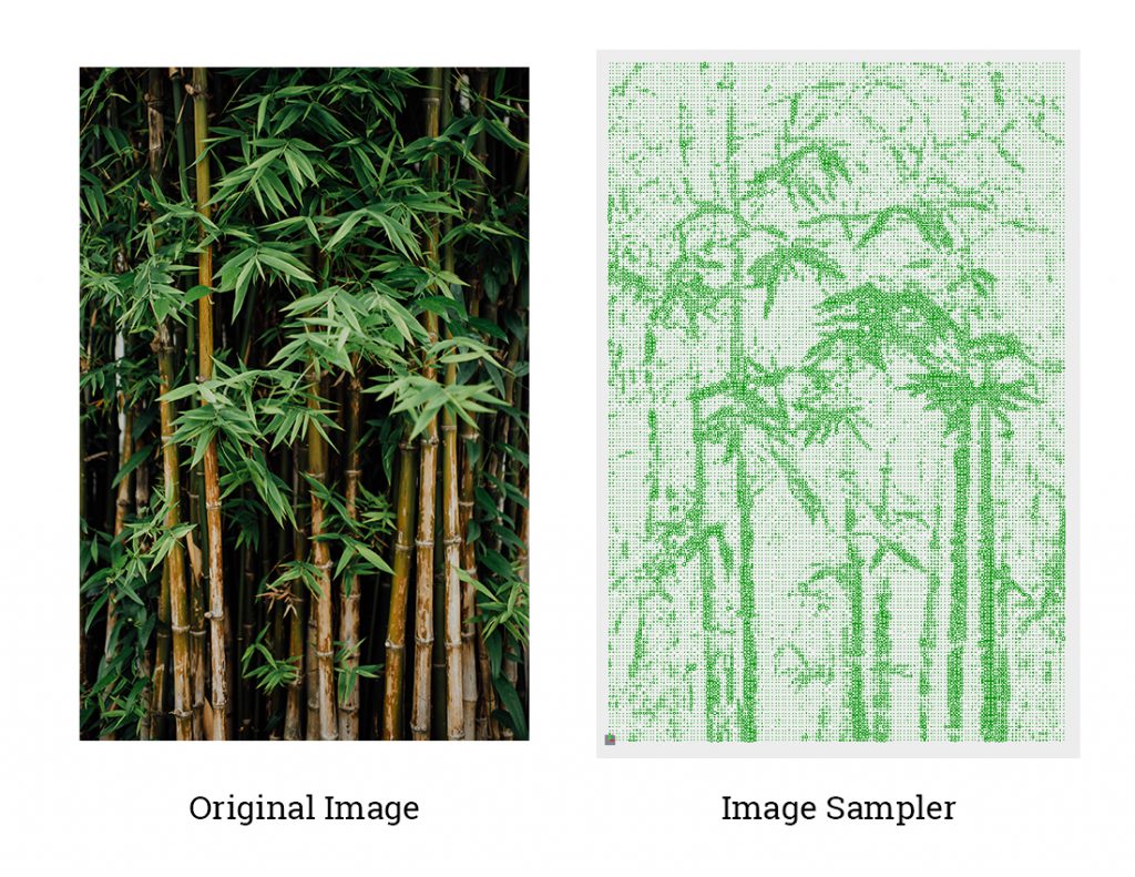 Image Sampler Example -bamboo